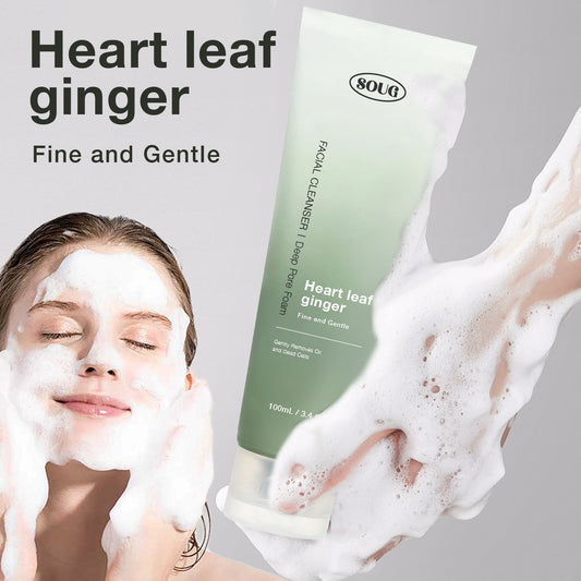 Mousse nettoyante pour pores profonds à la quercétine Heartleaf
