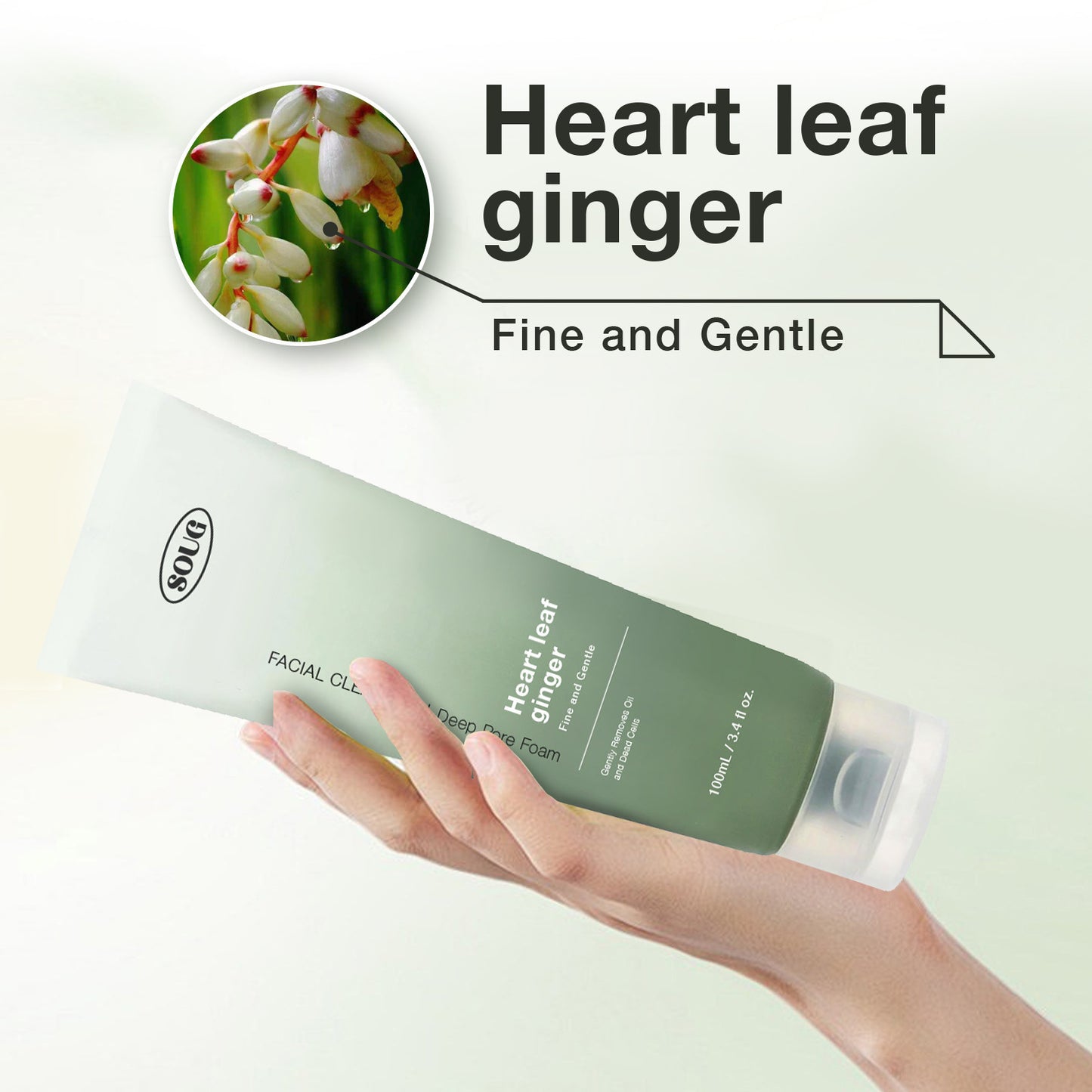 Mousse nettoyante pour pores profonds à la quercétine Heartleaf
