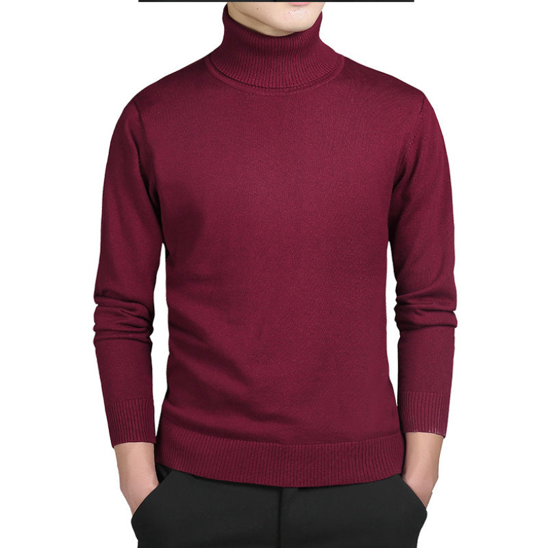 Pull à col roulé pour homme, coupe ajustée, modèle d'automne